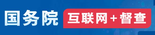 国务院互联网+督查